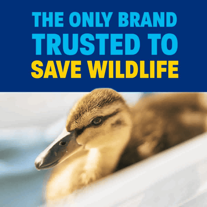 Dawn Free Dish Soap - ECO