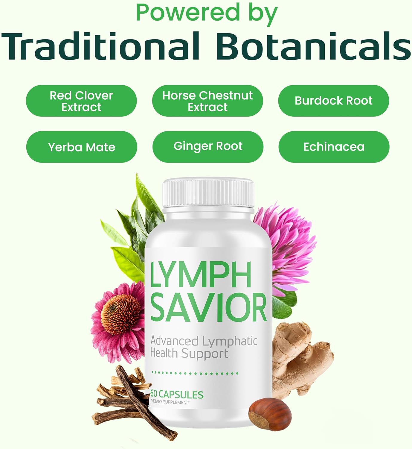 Lymphatic Support Supplement - ECO